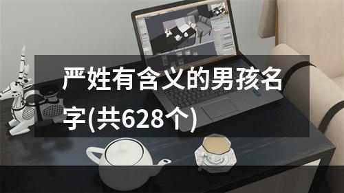 严姓有含义的男孩名字(共628个)