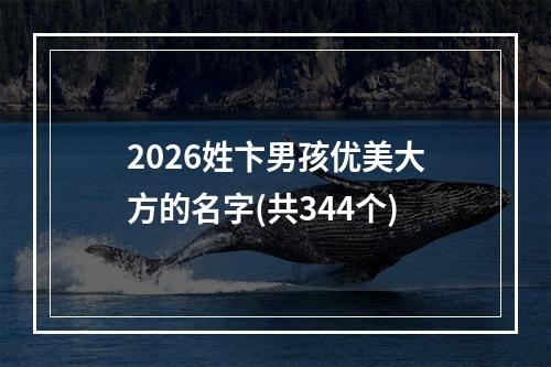 2026姓卞男孩优美大方的名字(共344个)