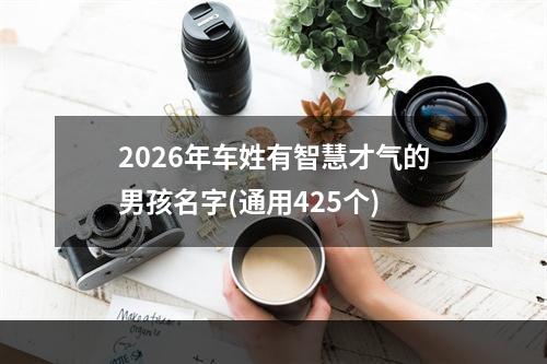 2026年车姓有智慧才气的男孩名字(通用425个)