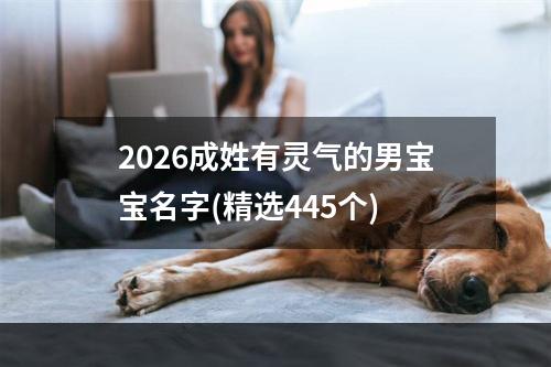 2026成姓有灵气的男宝宝名字(精选445个)