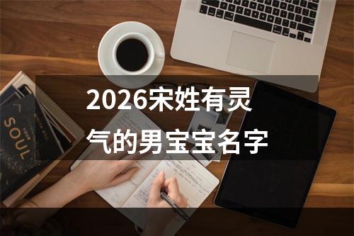 2026宋姓有灵气的男宝宝名字