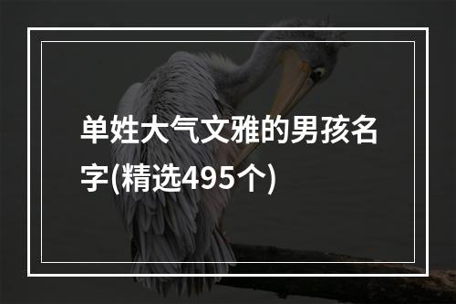单姓大气文雅的男孩名字(精选495个)