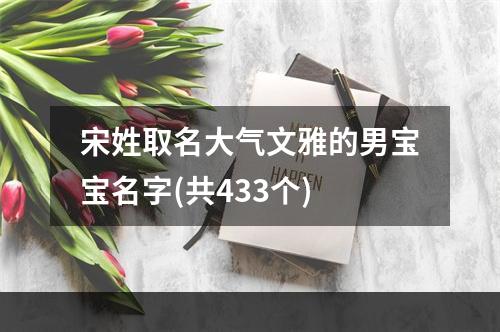 宋姓取名大气文雅的男宝宝名字(共433个)