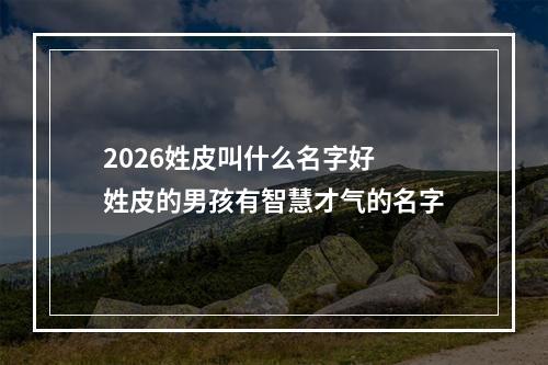 2026姓皮叫什么名字好 姓皮的男孩有智慧才气的名字