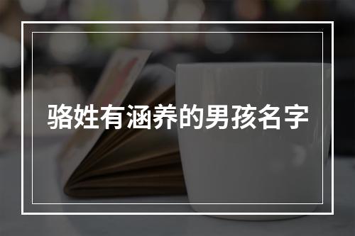 骆姓有涵养的男孩名字