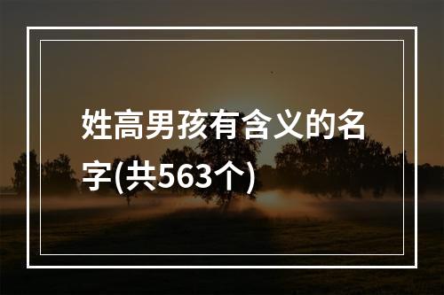 姓高男孩有含义的名字(共563个)