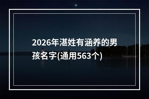 2026年湛姓有涵养的男孩名字(通用563个)
