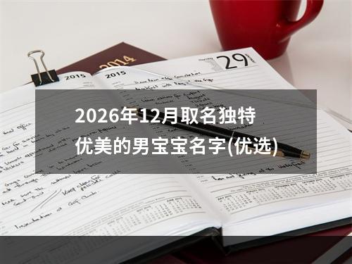 2026年12月取名独特优美的男宝宝名字(优选)