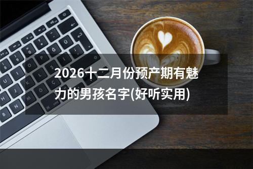 2026十二月份预产期有魅力的男孩名字(好听实用)