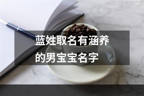 蓝姓取名有涵养的男宝宝名字
