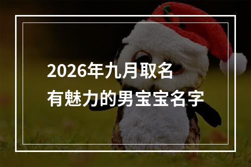 2026年九月取名有魅力的男宝宝名字