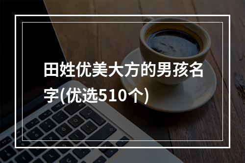 田姓优美大方的男孩名字(优选510个)