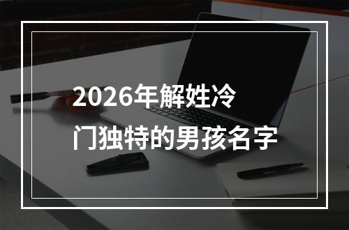 2026年解姓冷门独特的男孩名字