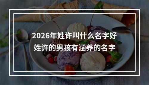 2026年姓许叫什么名字好 姓许的男孩有涵养的名字