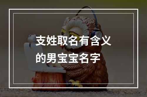 支姓取名有含义的男宝宝名字
