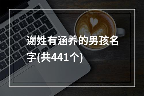 谢姓有涵养的男孩名字(共441个)