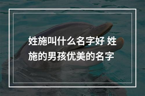 姓施叫什么名字好 姓施的男孩优美的名字