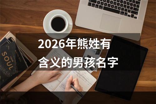 2026年熊姓有含义的男孩名字