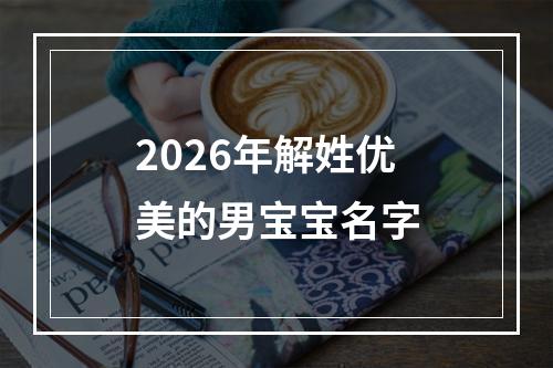 2026年解姓优美的男宝宝名字