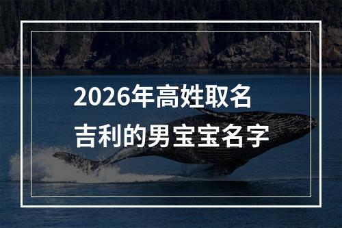 2026年高姓取名吉利的男宝宝名字