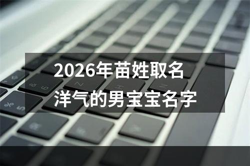 2026年苗姓取名洋气的男宝宝名字