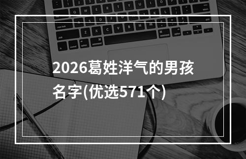2026葛姓洋气的男孩名字(优选571个)