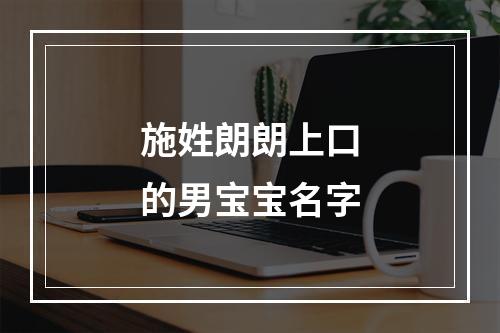 施姓朗朗上口的男宝宝名字