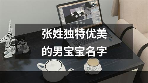 张姓独特优美的男宝宝名字