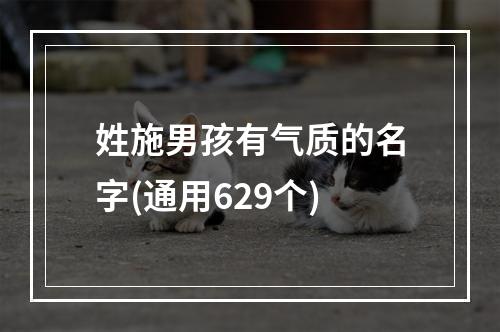 姓施男孩有气质的名字(通用629个)