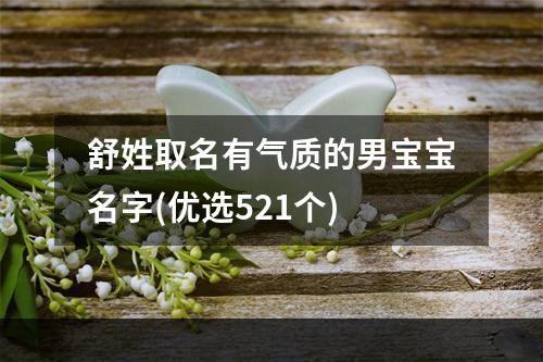 舒姓取名有气质的男宝宝名字(优选521个)