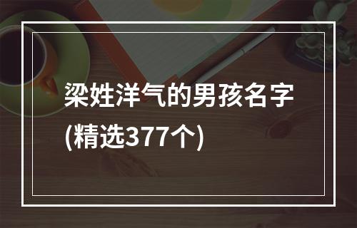 梁姓洋气的男孩名字(精选377个)