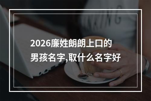2026廉姓朗朗上口的男孩名字,取什么名字好