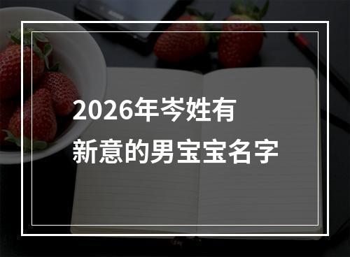 2026年岑姓有新意的男宝宝名字