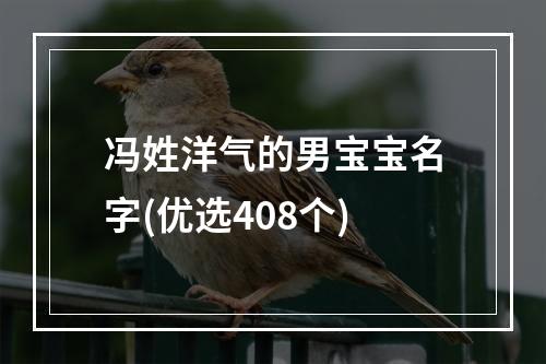 冯姓洋气的男宝宝名字(优选408个)