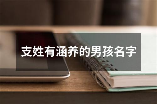 支姓有涵养的男孩名字