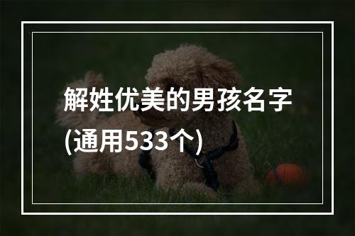 解姓优美的男孩名字(通用533个)