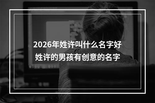 2026年姓许叫什么名字好 姓许的男孩有创意的名字