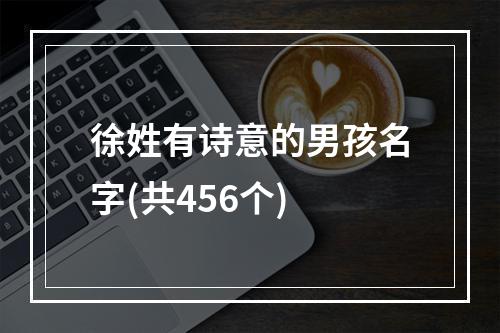 徐姓有诗意的男孩名字(共456个)
