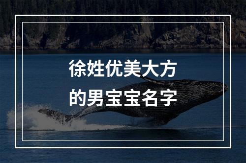 徐姓优美大方的男宝宝名字