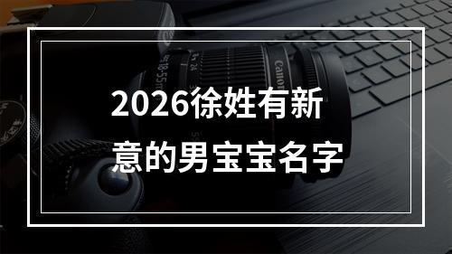 2026徐姓有新意的男宝宝名字
