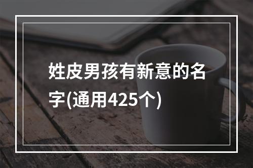 姓皮男孩有新意的名字(通用425个)