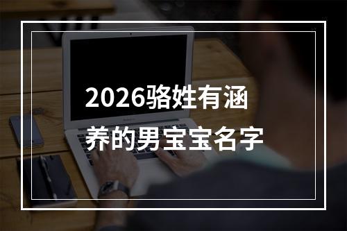 2026骆姓有涵养的男宝宝名字