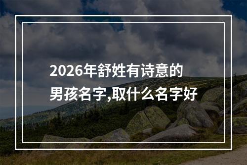 2026年舒姓有诗意的男孩名字,取什么名字好