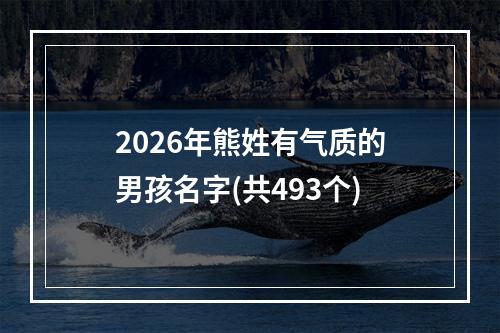 2026年熊姓有气质的男孩名字(共493个)