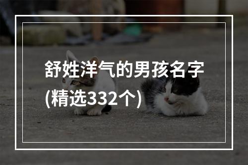 舒姓洋气的男孩名字(精选332个)