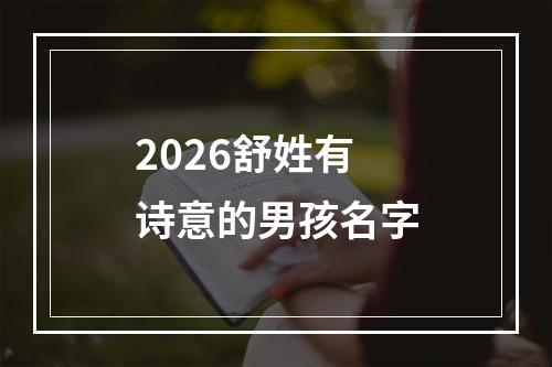 2026舒姓有诗意的男孩名字
