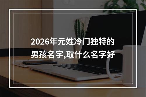 2026年元姓冷门独特的男孩名字,取什么名字好