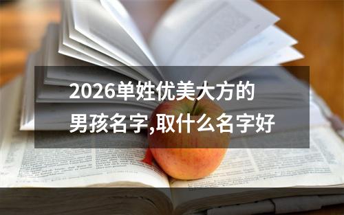 2026单姓优美大方的男孩名字,取什么名字好