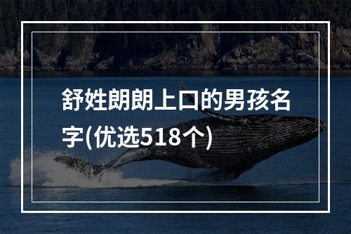 舒姓朗朗上口的男孩名字(优选518个)
