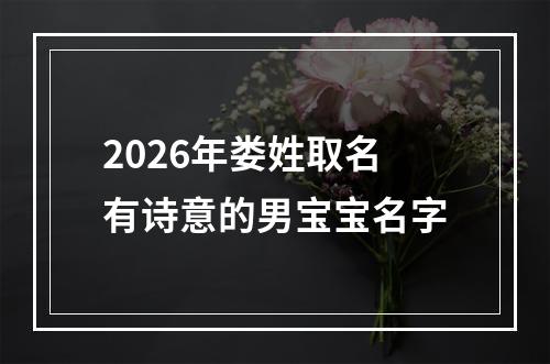 2026年娄姓取名有诗意的男宝宝名字